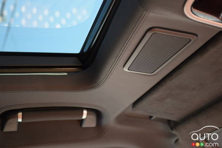 Leather ceiling